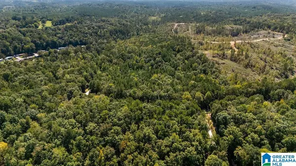 Clanton, AL 35046,0 COUNTY ROAD 759 #0