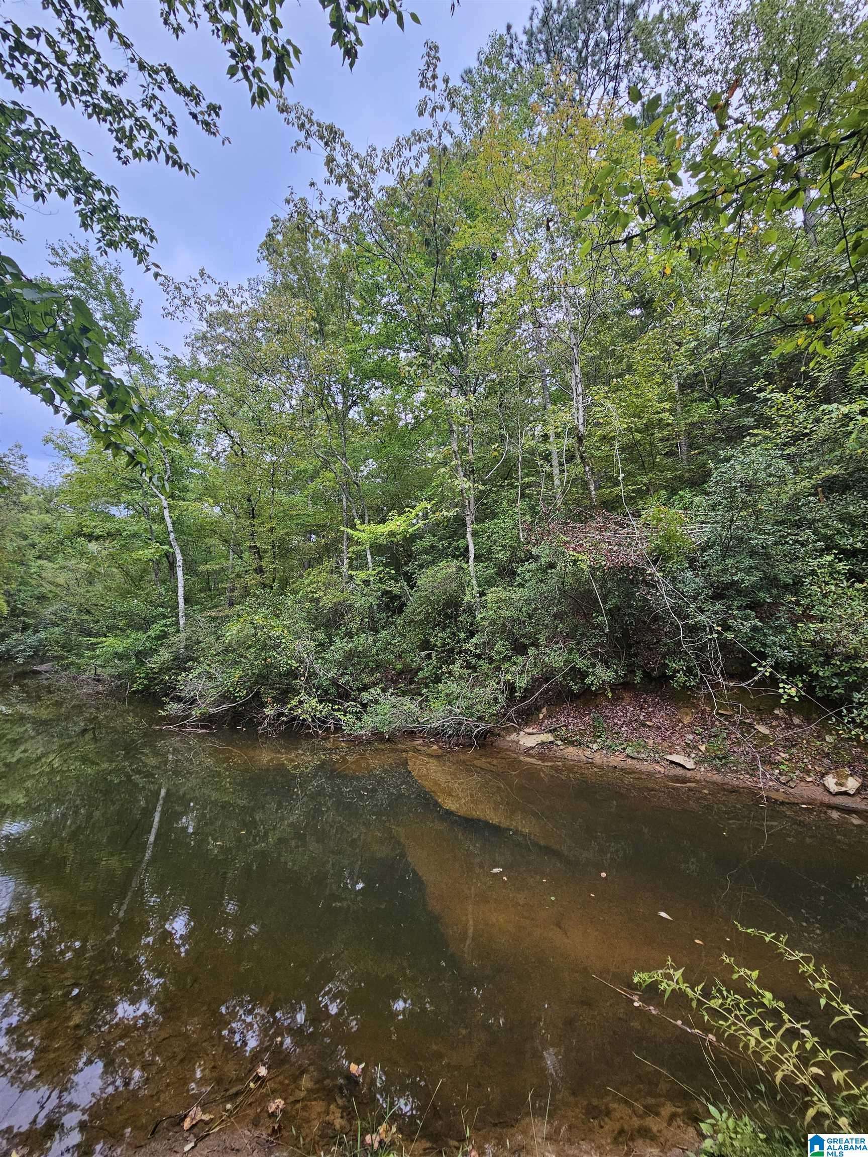 525 COUNTY ROAD 260 #0, Clanton, AL 35046