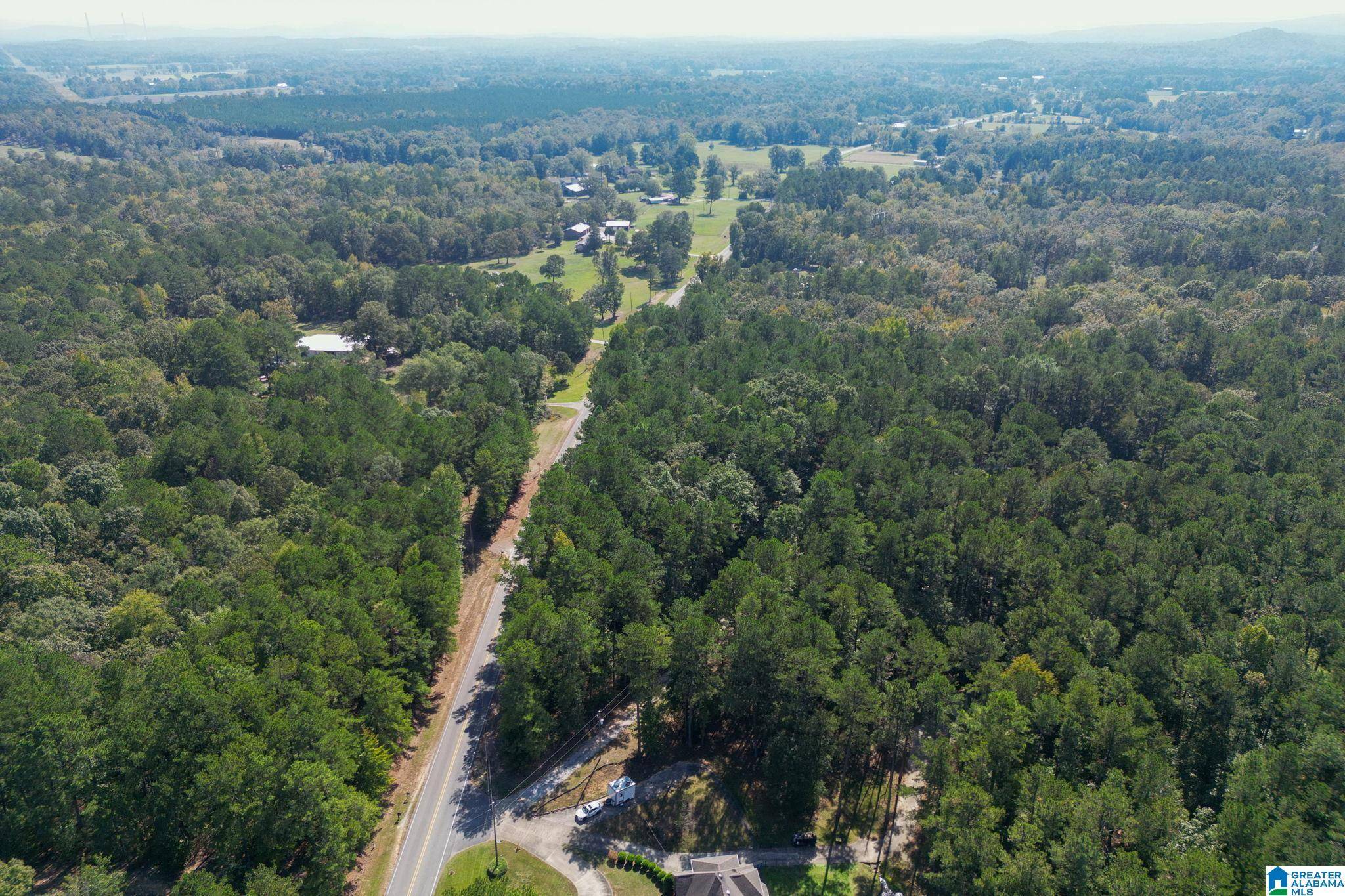 Wilsonville, AL 35178,1271 COUNTY ROAD 109 #1300
