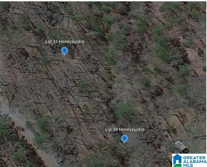 Moody, AL 35004,Lot 31 HONEYSUCKLE LANE #31