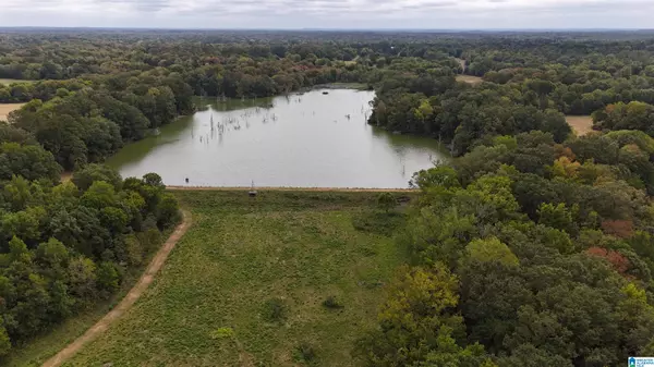 6040 E HIGHWAY 28 #0, Pine Apple, AL 36768