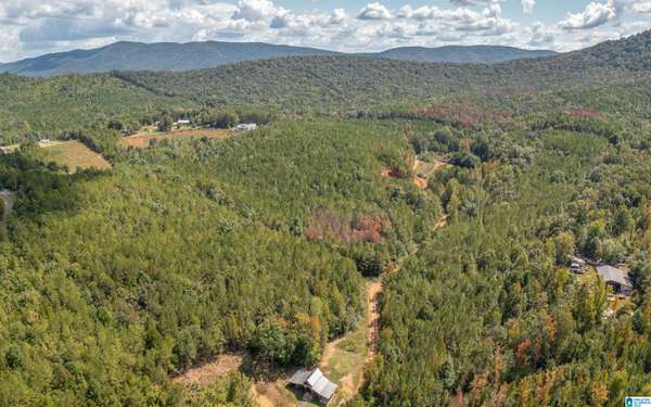 3.69 Acres TUCK-A-WAY DRIVE #18, Piedmont, AL 36272