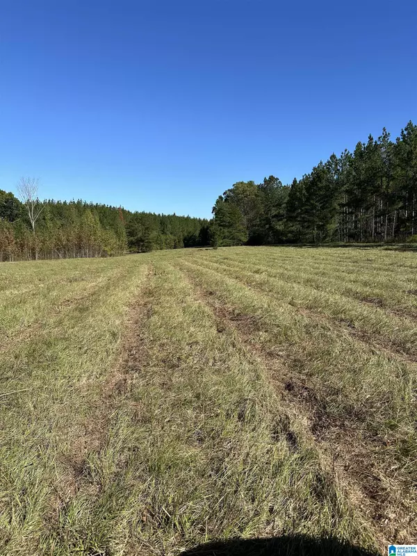 Calera, AL 35040,4434 COUNTY ROAD 86 #1
