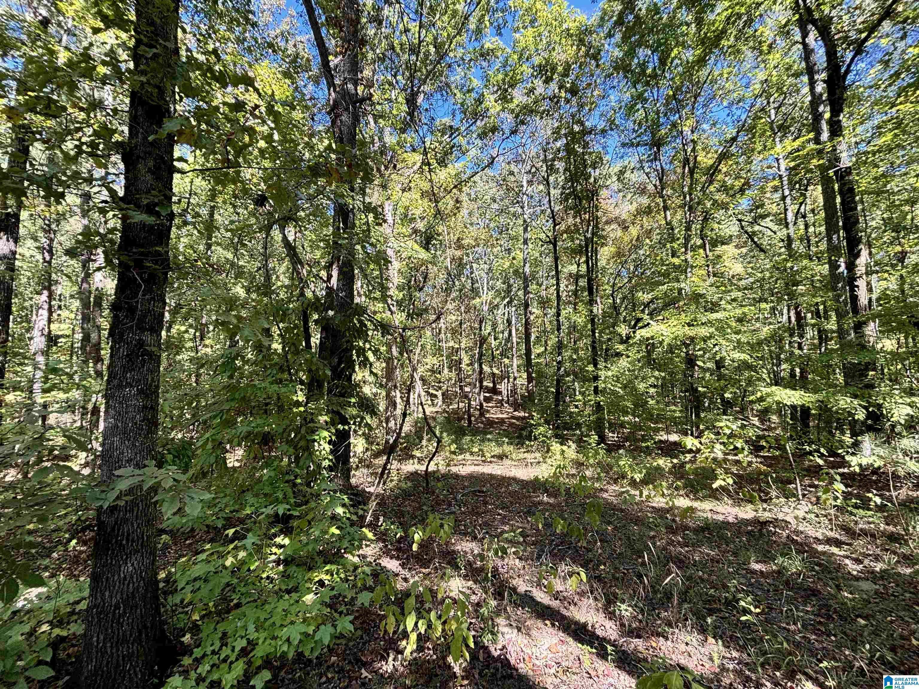 Vincent, AL 35178,1129 HIGHWAY 467 #Parcel 3