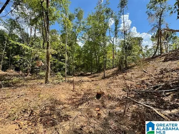 Roanoke, AL 36274,1920 COUNTY ROAD 59 #15.4 Ac