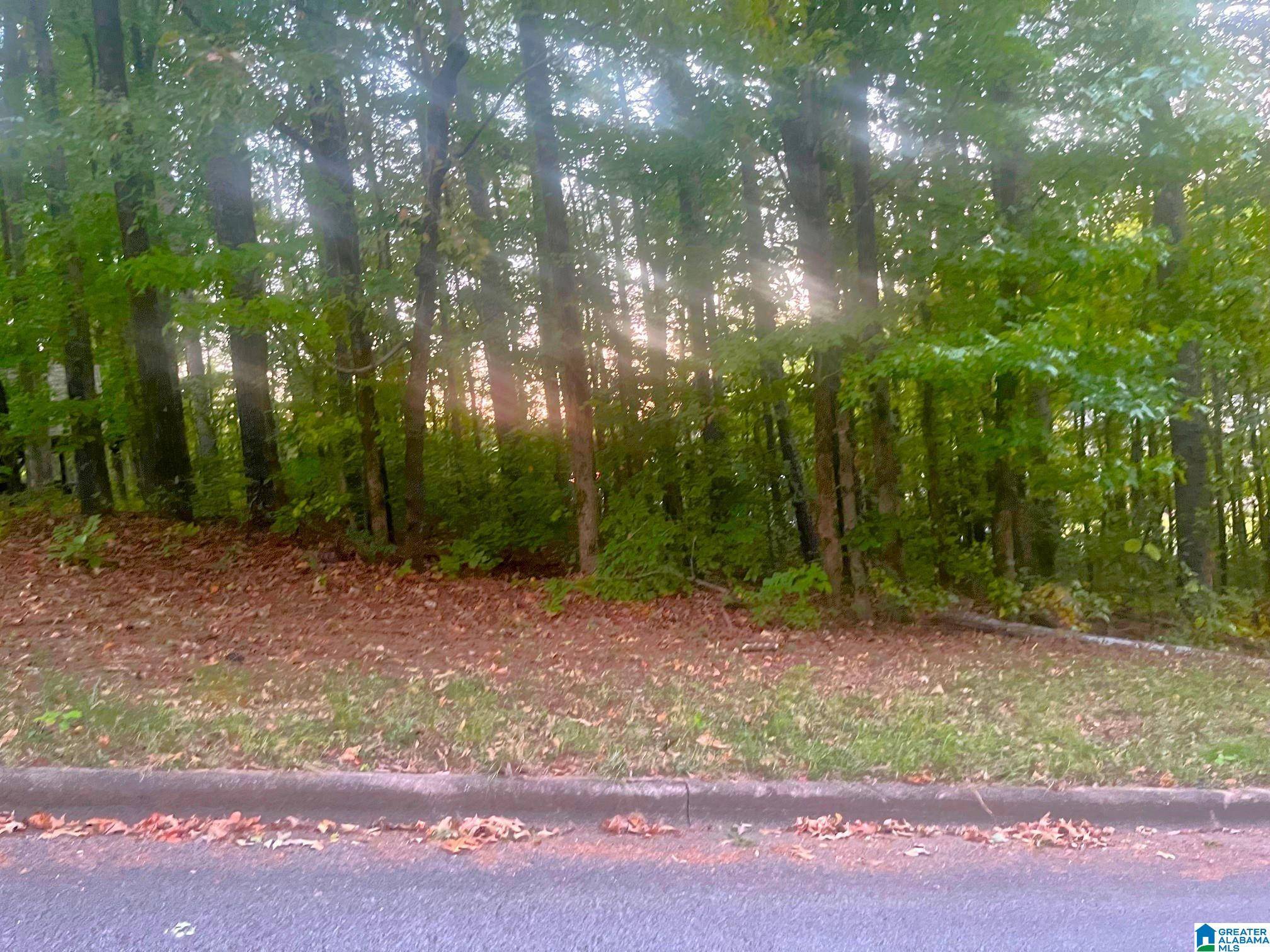 6760 OLD SPRINGVILLE ROAD #1, Clay, AL 35126