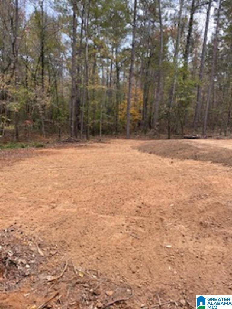 Talladega, AL 35160,Lot 79 0 PINE GLEN ROAD #79