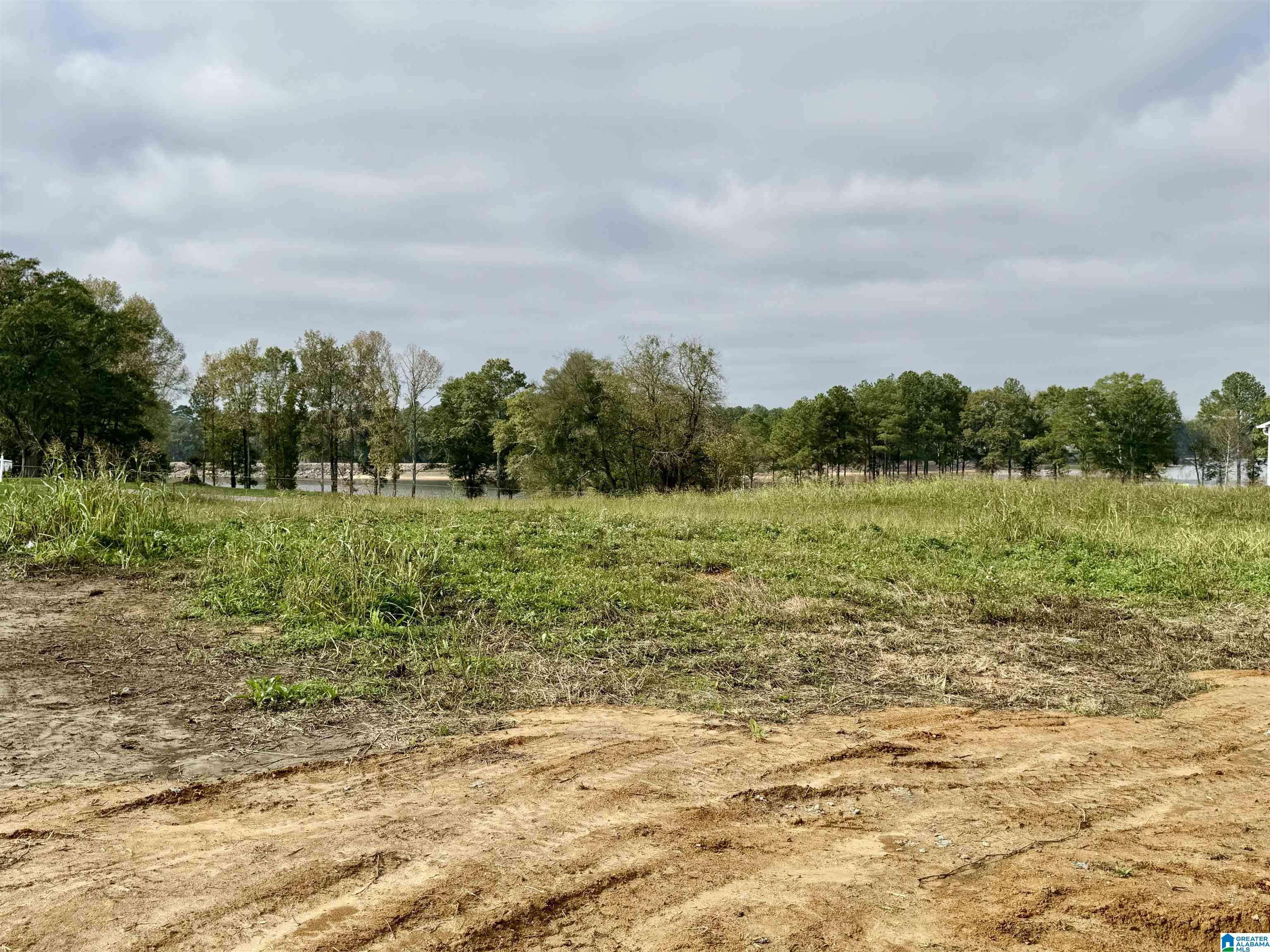 Cullman, AL 35055,415 COUNTY ROAD 1462