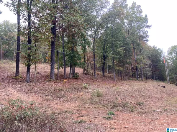 Odenville, AL 35120,495 ANDERSON MTN DRIVE #24