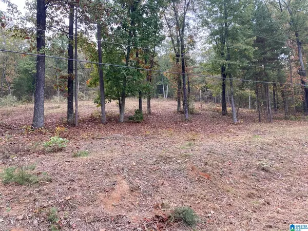 Odenville, AL 35120,495 ANDERSON MTN DRIVE #24