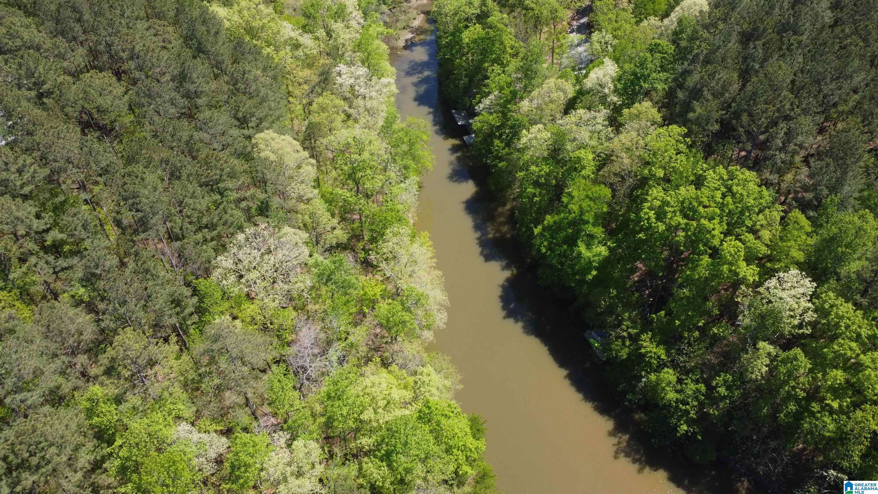 Wedowee, AL 36278,LAKE GENEVA DRIVE #23