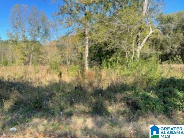Bessemer, AL 35022,30 BANNERMAN ROAD #Lots 7 & *