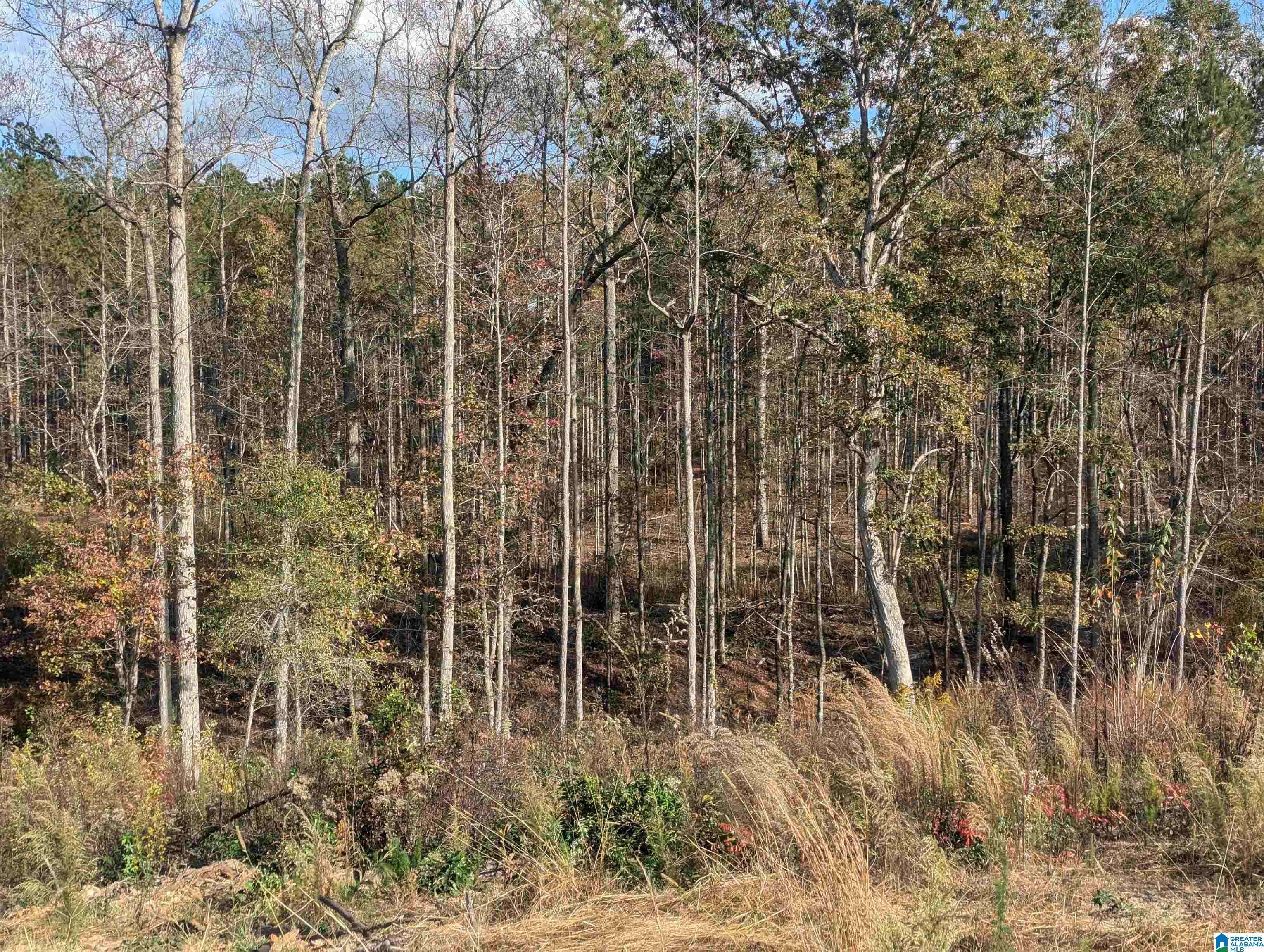 7016 COUNTY ROAD 65 #0, Fruithurst, AL 36262