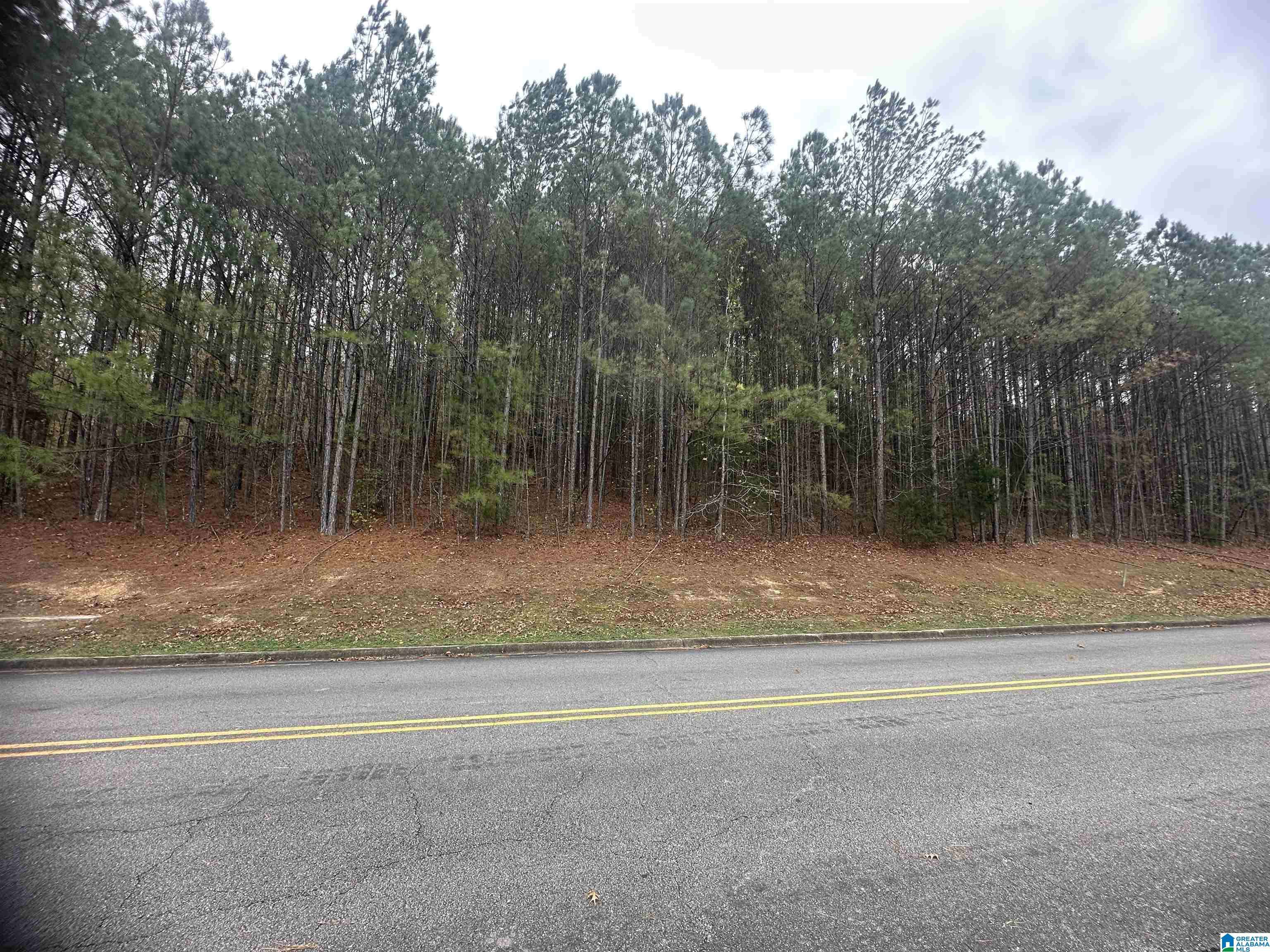 Oneonta, AL 35121,1166 SAINT ANDREWS PARKWAY #76A, 76 & 77A