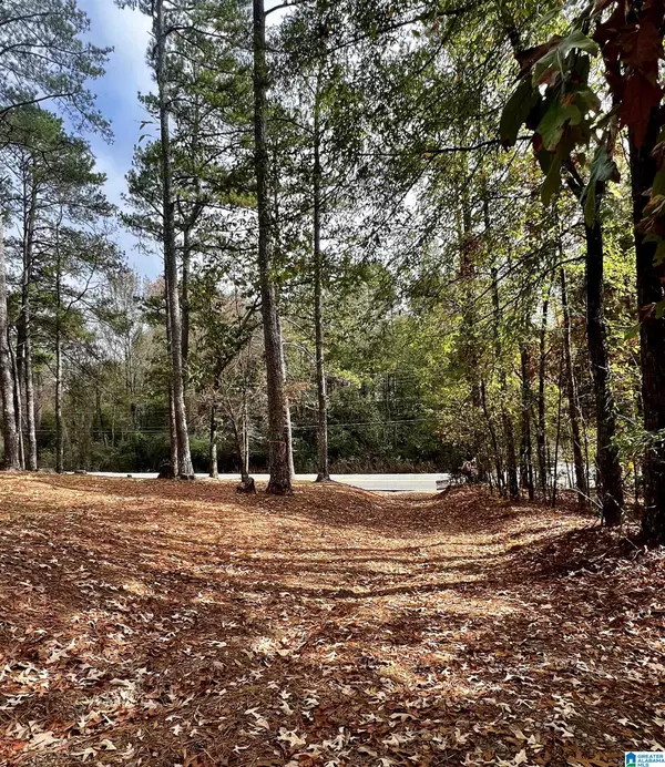 6408 TRUSSVILLE CLAY ROAD #0, Trussville, AL 35173