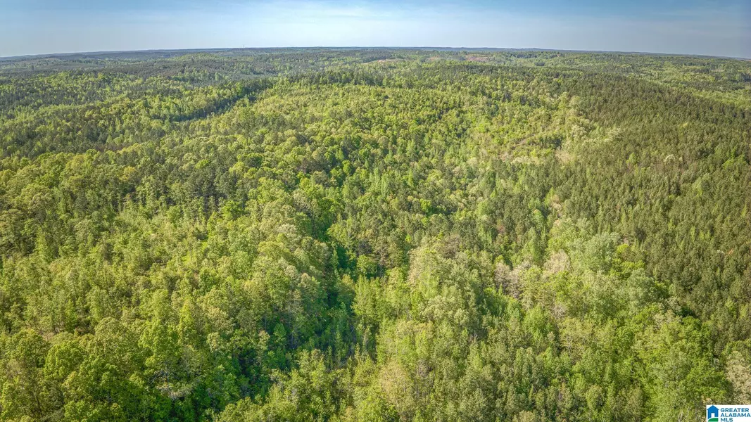 87 Acres KAY HOLLIS ROAD #None, Beaverton, AL 35544