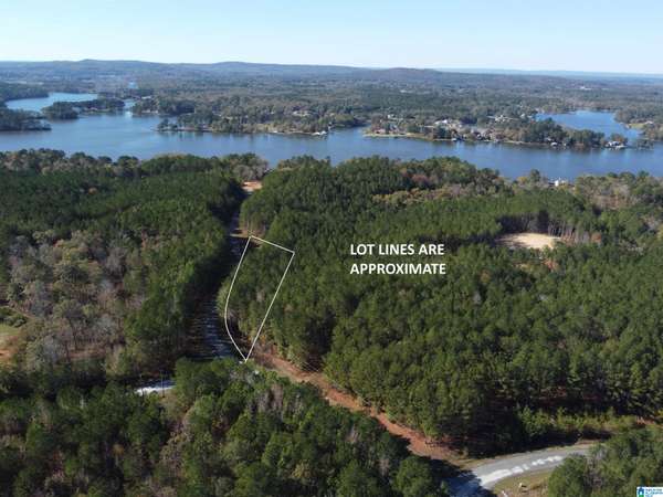 Lot 221 SHORE SIDE LANE #221, Sylacauga, AL 35151