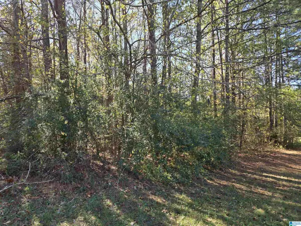 Oneonta, AL 35121,0 MAYNOR LANE #21