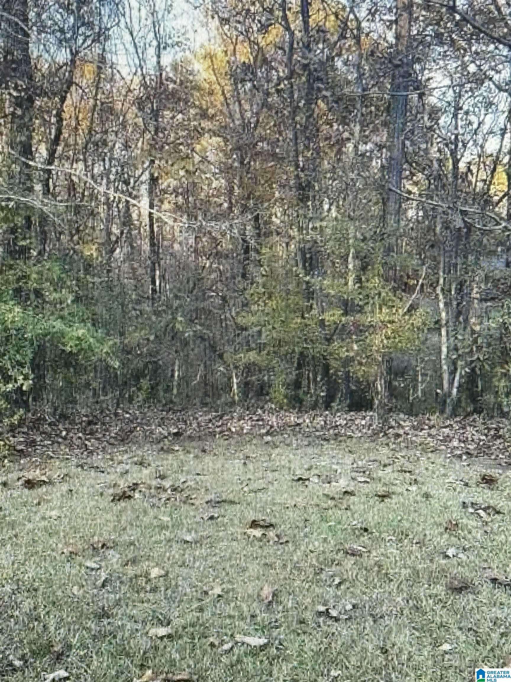 301 FOREST PARKWAY #81, Alabaster, AL 35007