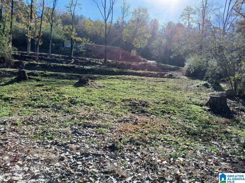 1806 CARSON ROAD N #39, Birmingham, AL 35217