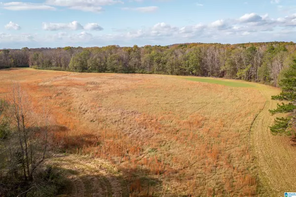 Jacksonville, AL 36265,1700 CEDAR SPRINGS DRIVE #0