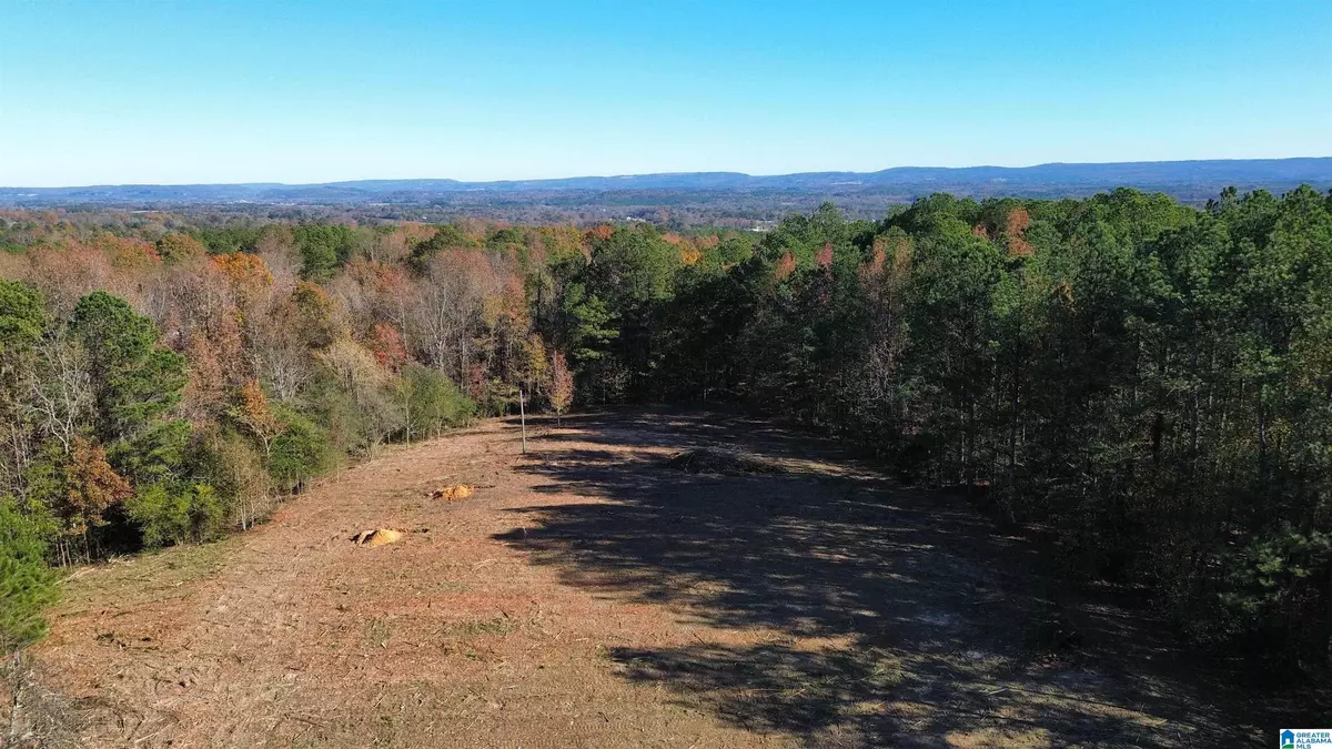 Hayden, AL 35079,171 WATER TANK ROAD #1.62