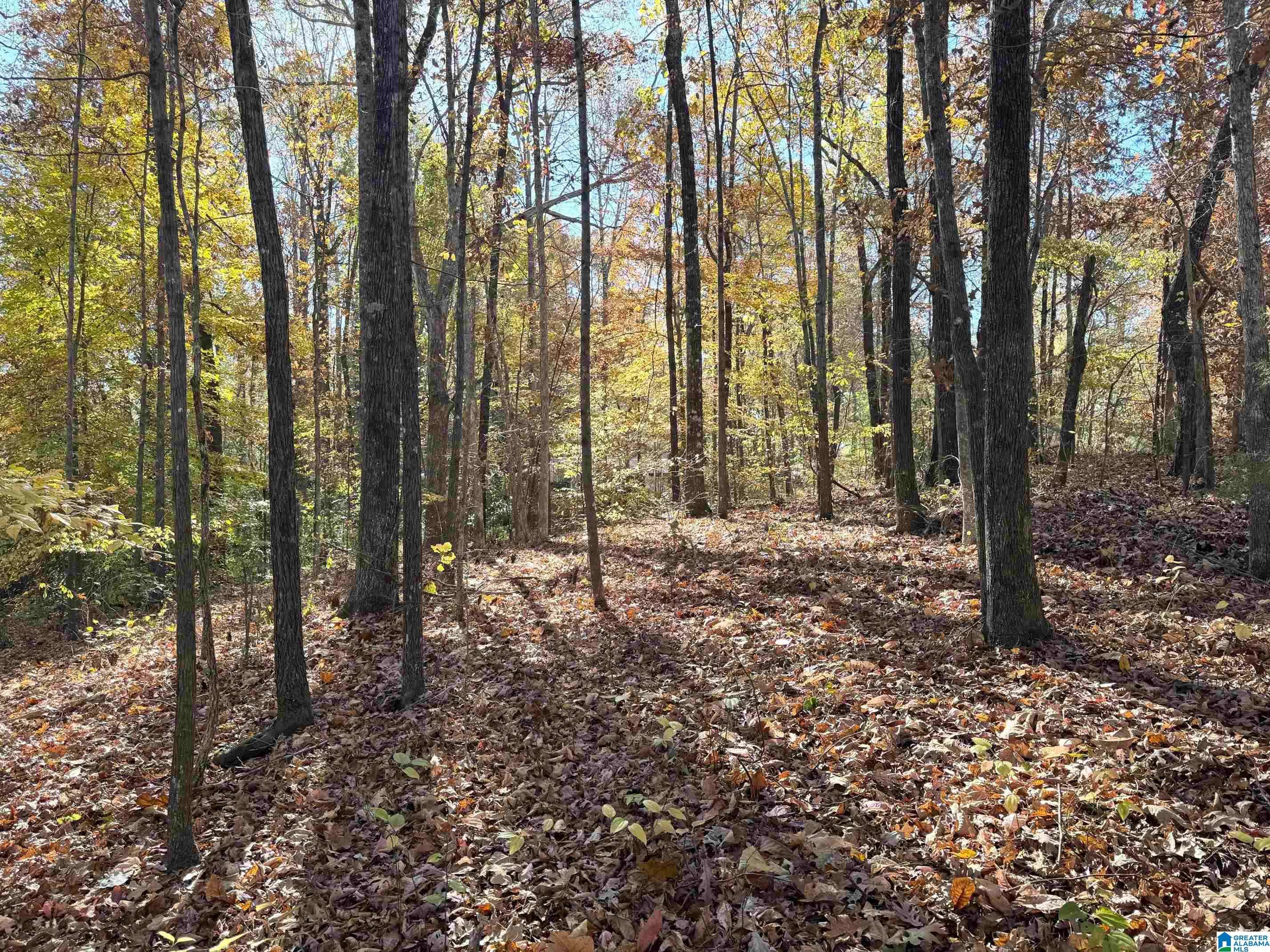 Roanoke, AL 36274,0 CAUTHEN CIRCLE #Lot 12