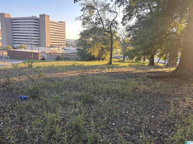 1214 21ST PLACE N #54 55, Birmingham, AL 35234