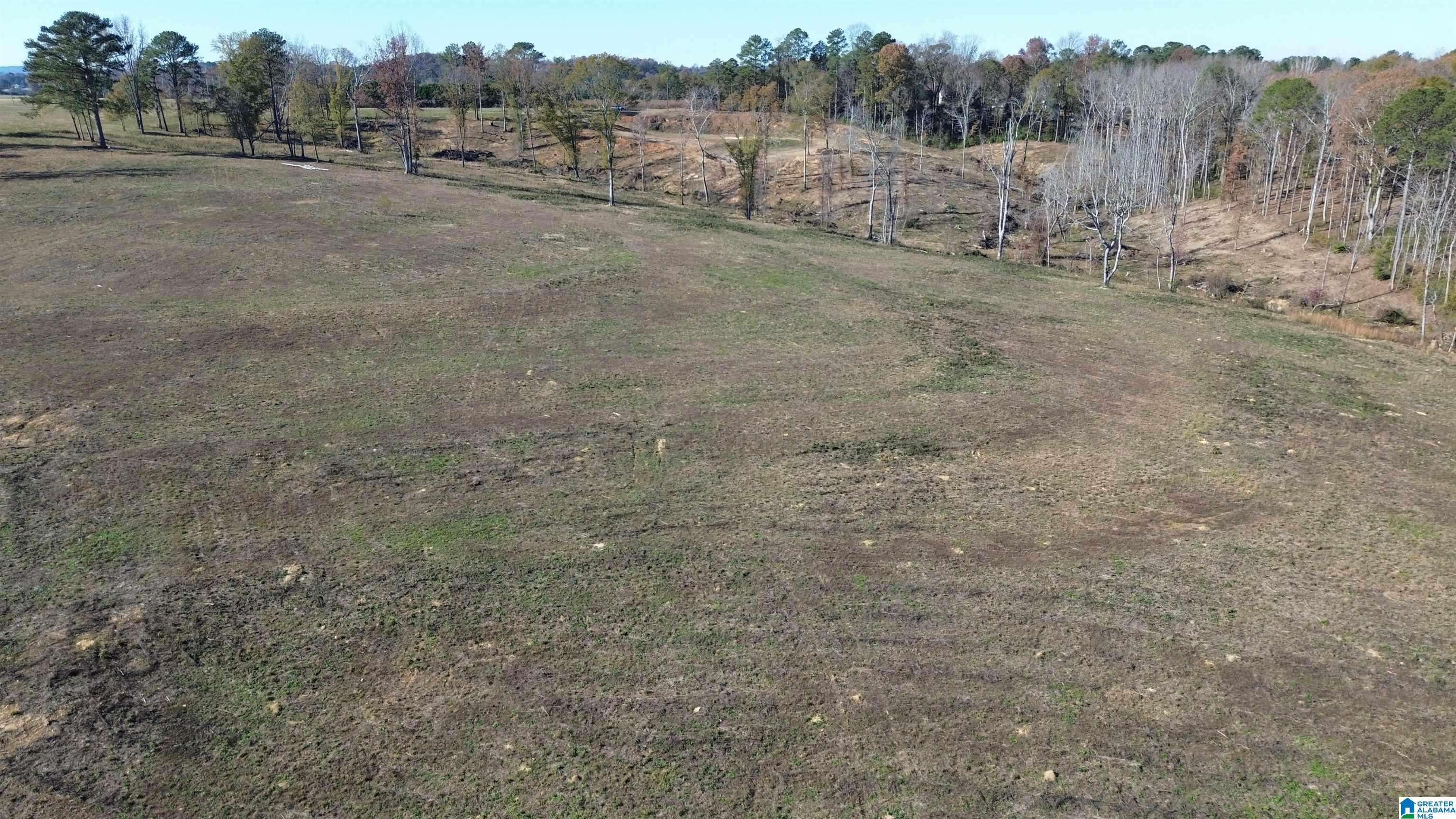 Hanceville, AL 35077,0 COUNTY ROAD 546 #n/a