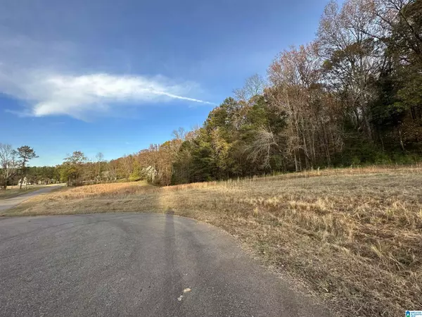 Birmingham, AL 35242,21 BUCKHORN VALLEY DRIVE #21