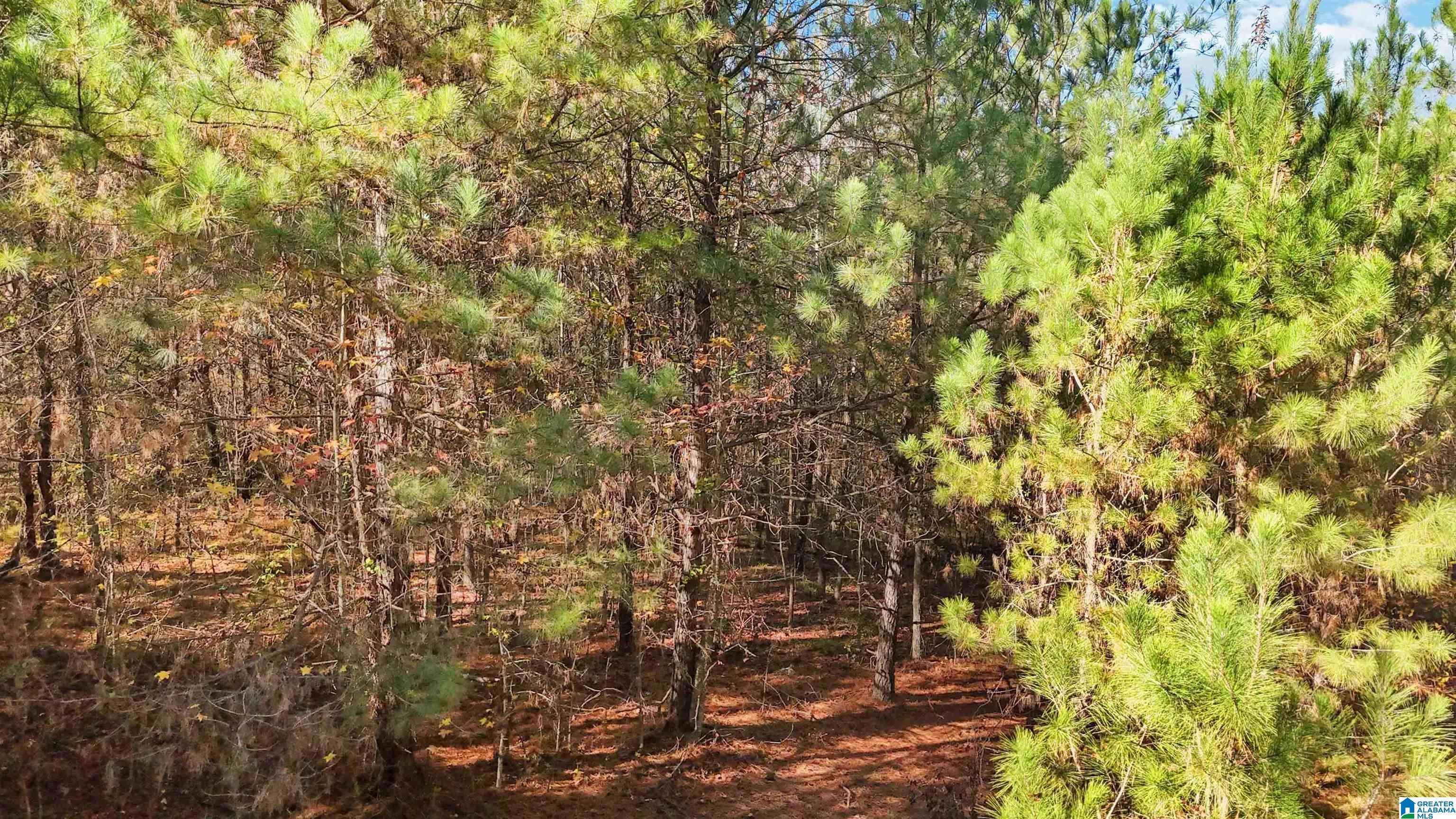 3590 LINDSEY LOOP ROAD #N/A, Bessemer, AL 35022