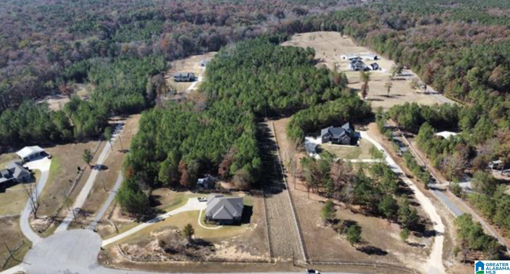 7227 BLUEGRASS LANE #0, Mccalla, AL 35111