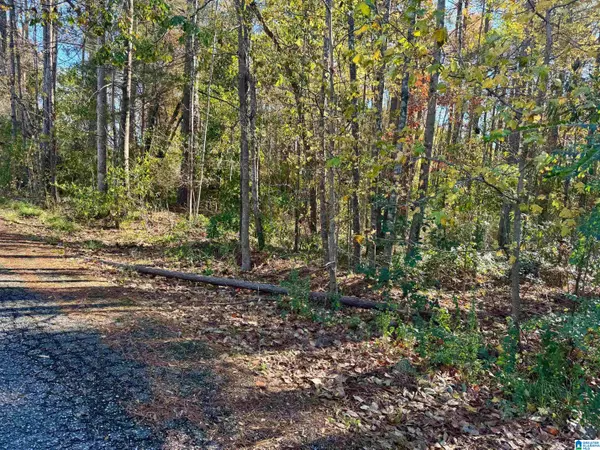 Roanoke, AL 36274,Lot 7 LANE AVENUE #Lot 7