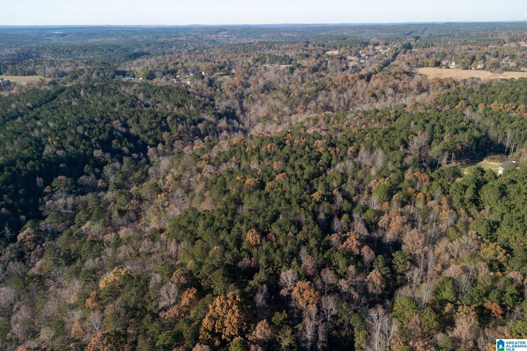 Bessemer, AL 35023,1575 STEVE CROWDER ROAD #1