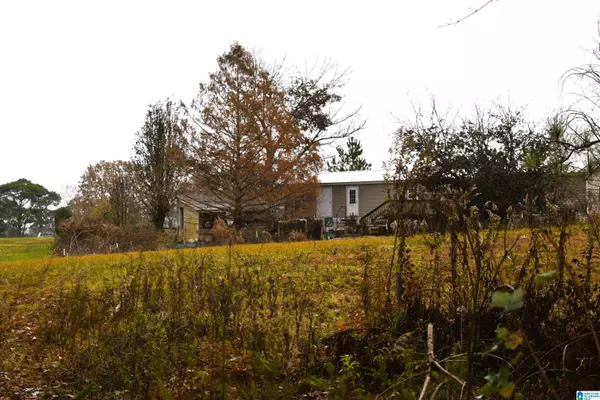 Holly Pond, AL 35083,701 CEMETARY ROAD