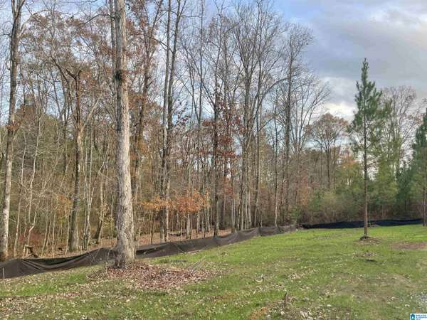 472 SADDLEWOOD COVE #2, Columbiana, AL 35051
