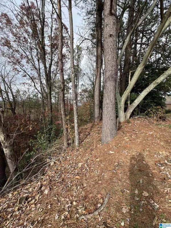 Homewood, AL 35226,329 DELCRIS COURT #051
