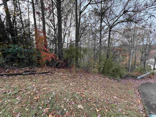 329 DELCRIS COURT #051, Homewood, AL 35226