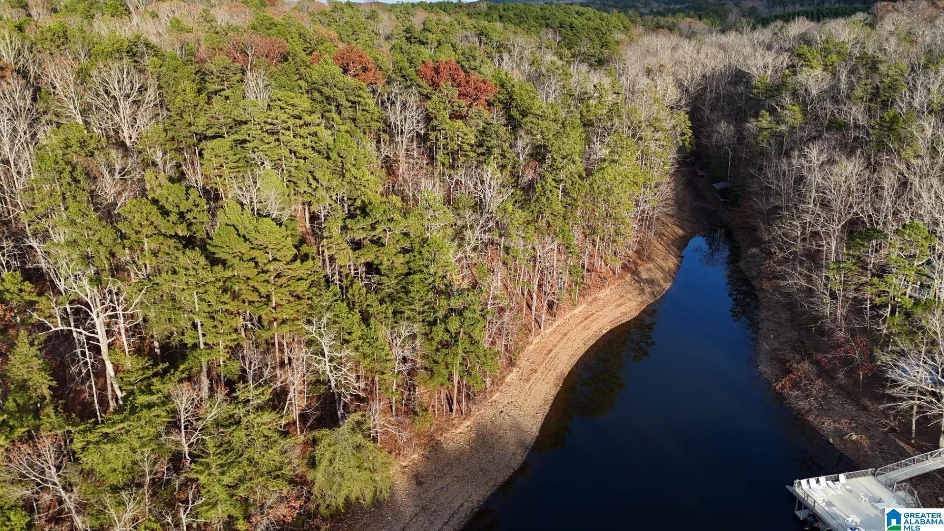 GINHOUSE POINT #41, 42, Wedowee, AL 36278
