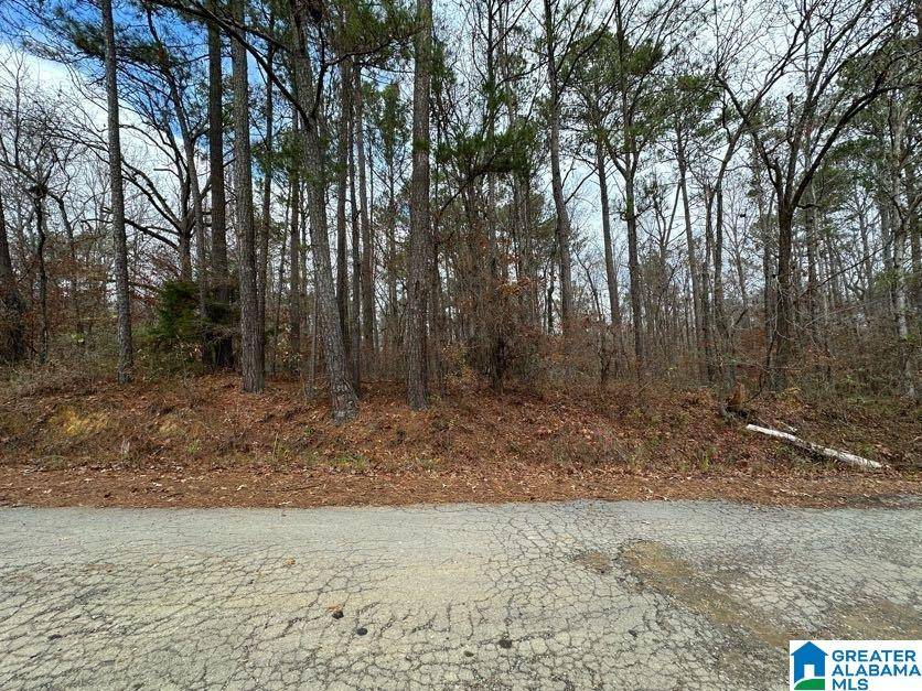 Lincoln, AL 35096,0 SHERWOOD DRIVE #41
