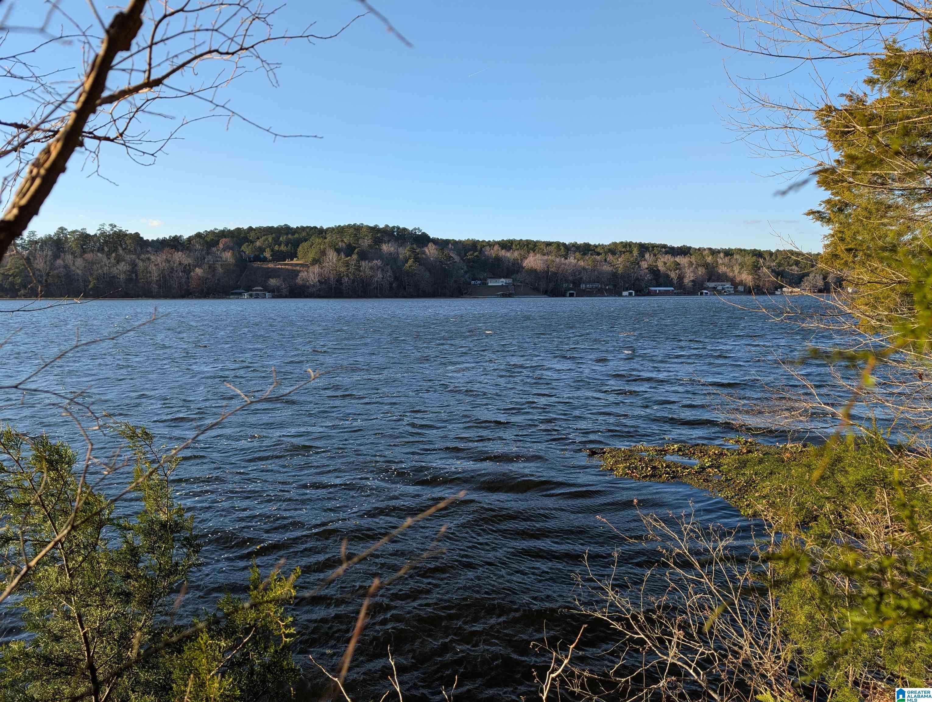 285 WARRIOR RIVER HIGHLANDS ROAD #2, Adger, AL 35006