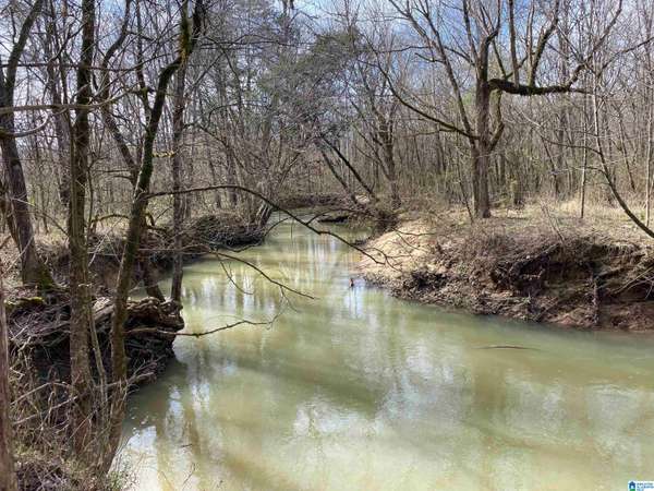 0 HIGHWAY 231 #Tract B - 27+/- Ac, Ashville, AL 35953