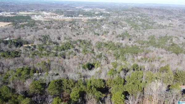 Pelham, AL 35124,168 KINGS CREST LANE #93