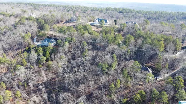 Pelham, AL 35124,168 KINGS CREST LANE #93