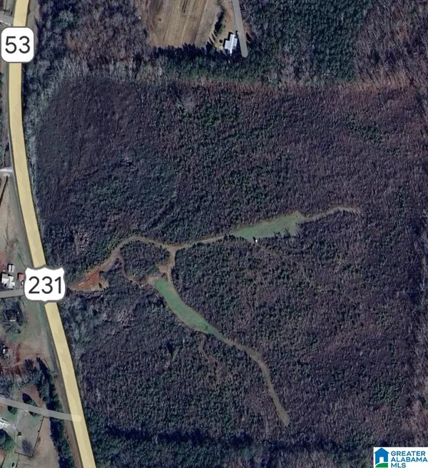 0 HIGHWAY 231 #0, Vincent, AL 35178