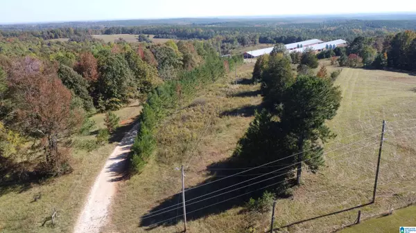 Roanoke, AL 36274,12994 COUNTY ROAD 65