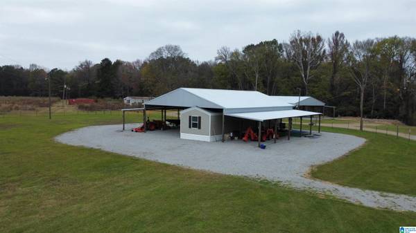 231 SIPSEY RIVER ROAD, Aliceville, AL 35442
