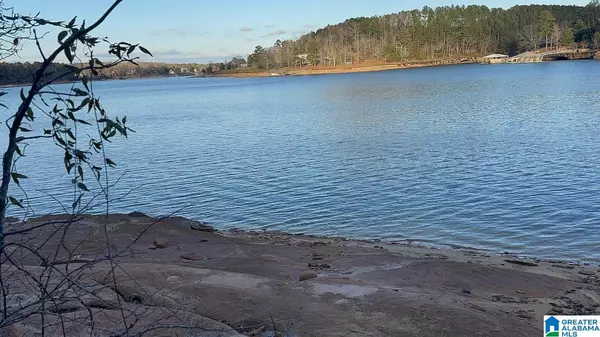 Double Springs, AL 35553,0 EDGEWATER BEND ROAD #29