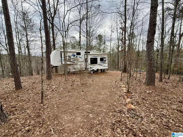 0 FOSTER HILLS DRIVE, Lineville, AL 36266
