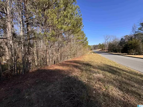 Alabaster, AL 35007,212 & 216 MARANATHA TRAIL #29